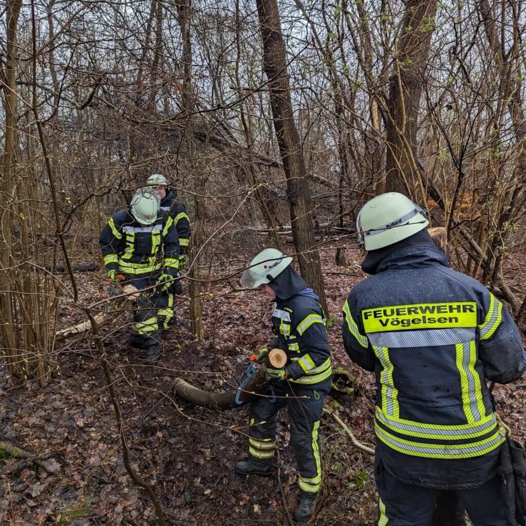Hier nochmal ein paar Eindrücke vom heutigen Holz machen für das Osterfeuer am …